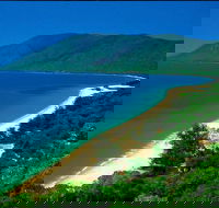 Cairns Reef and Rainforest Combo Daintree Rainforest and the Great Barrier Reef - Restaurant Gold Coast