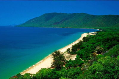 Cairns Reef and Rainforest Combo Daintree Rainforest and the Great Barrier Reef