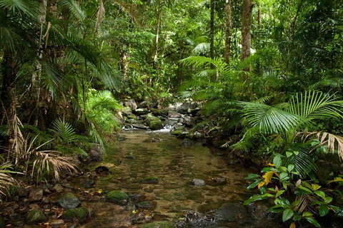 Cairns Reef And Rainforest Combo: Daintree Rainforest And The Great Barrier Reef - Restaurant Gold Coast 1