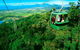 4-Day Cairns Ultimate Combo: Daintree Rainforest, Reef, Kuranda & Paronella Park - thumb 1