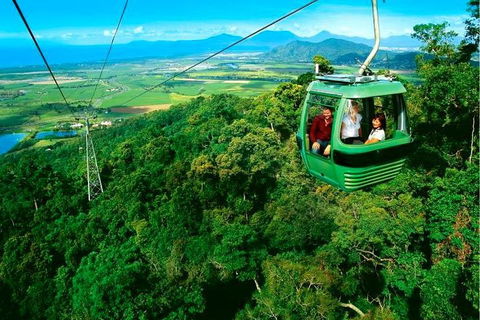 4-Day Cairns Ultimate Combo: Daintree Rainforest, Reef, Kuranda & Paronella Park - Restaurant Gold Coast 1