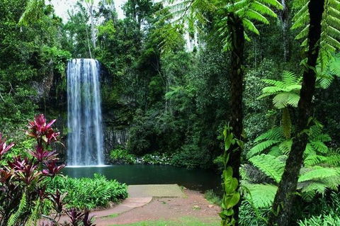 Paronella Park And Millaa Millaa Falls Full-day Tour From Cairns - Restaurant Gold Coast 3