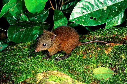 3-Day Small-Group Tour Of North Queensland With Pick Up - Restaurant Gold Coast 0