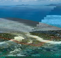 4-Day Cairns with Great Barrier Reef and Daintree Rainforest - Restaurant Gold Coast