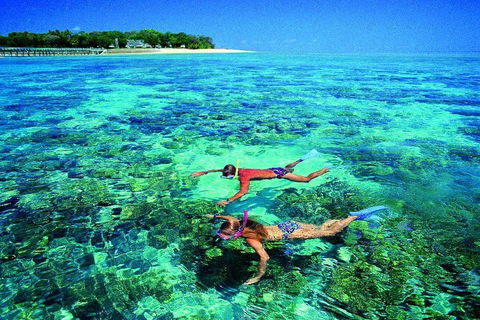 4-Day Cairns With Great Barrier Reef And Daintree Rainforest - Restaurant Gold Coast 2