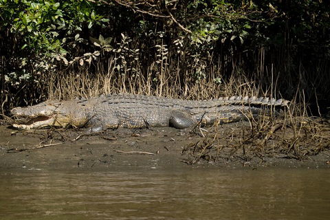 4-Day Cairns With Great Barrier Reef And Daintree Rainforest - Restaurant Gold Coast 4