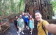 Cairns National Park Rainforest And Waterfall Small Group Tour Shore Excursion - thumb 2