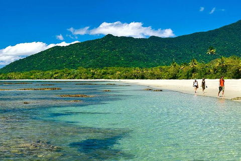 Private Daintree National Park Day Tour From Cairns Including Cape Tribulation And Mossman Gorge - Restaurant Gold Coast 0