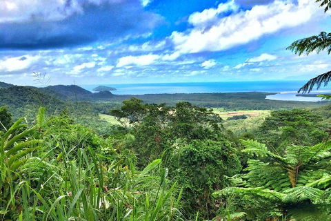 Private Daintree National Park Day Tour From Cairns Including Cape Tribulation And Mossman Gorge - Restaurant Gold Coast 2