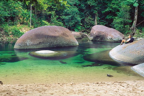 Private Daintree National Park Day Tour From Cairns Including Cape Tribulation And Mossman Gorge - Restaurant Gold Coast 4