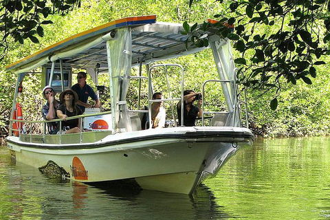 Private Daintree National Park Day Tour From Cairns Including Cape Tribulation And Mossman Gorge - Restaurant Gold Coast 5