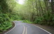 Cruise Ship Shore Excursion - Private Great Ocean Road Full Day Tour (12 Hour) - thumb 3