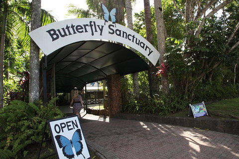 Kuranda Day Trip From Port Douglas Upgrade To Skyrail & Scenic Train Available - Restaurant Gold Coast 0