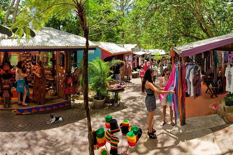 Kuranda Day Trip From Port Douglas Upgrade To Skyrail & Scenic Train Available - Restaurant Gold Coast 2