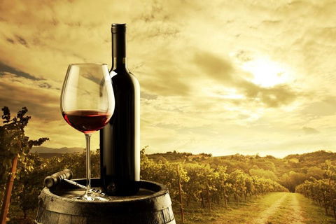 McLaren Vale Luxury Wine Tour - Restaurant Gold Coast 0