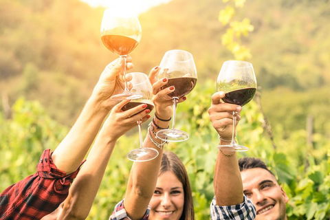 McLaren Vale Luxury Wine Tour - Restaurant Gold Coast 2