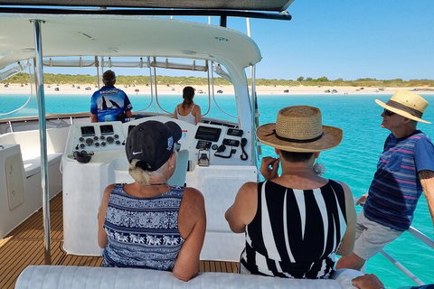 Snubfin Dolphin Eco Cruise From Broome - Restaurant Gold Coast 5