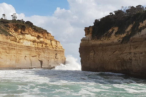 12 Apostles Tour From Warrnambool - Restaurant Gold Coast 2