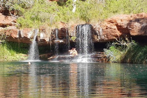 9 Day Perth To Broome Adventure - Restaurant Gold Coast 2