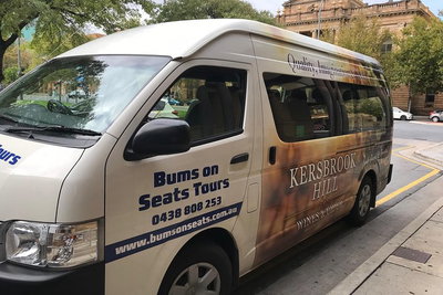 Brisbane City Highlights with Lone Pine