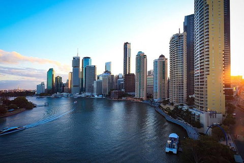 Brisbane City Highlights With Lone Pine! - Restaurant Gold Coast 3