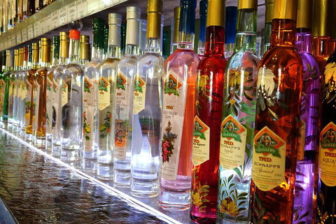 Bar & Brewery Tour - Restaurant Gold Coast 4