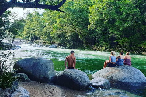 Afternoon Half-Day Daintree Rainforest And River Tour - Restaurant Gold Coast 0