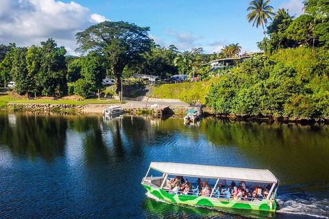 Afternoon Half-Day Daintree Rainforest And River Tour - Restaurant Gold Coast 1