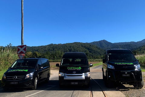 Afternoon Half-Day Daintree Rainforest And River Tour - Restaurant Gold Coast 4