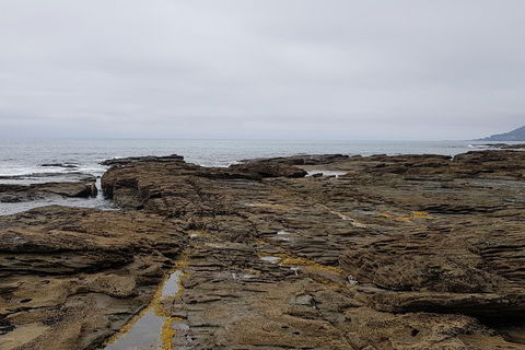 Luxury Private Great Ocean Road Tour Up To 11 People - Entire Vehicle - Restaurant Gold Coast 1