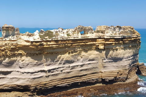 Luxury Private Great Ocean Road Tour Up To 11 People - Entire Vehicle - Restaurant Gold Coast 4