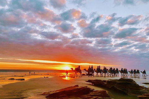 1 Hour Broome Sunset Camel Tour - Restaurant Gold Coast 0