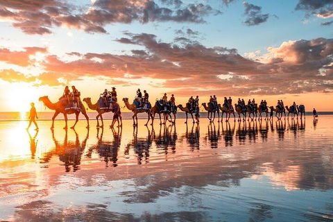 1 Hour Broome Sunset Camel Tour - Restaurant Gold Coast 2