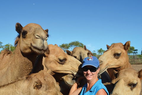 1 Hour Broome Sunset Camel Tour - Restaurant Gold Coast 3