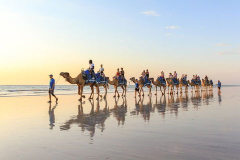 1 Hour Broome Sunset Camel Tour - Restaurant Gold Coast 5