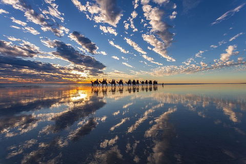 Broome Pre-sunset Camel Tour 30 Minutes - Restaurant Gold Coast 4