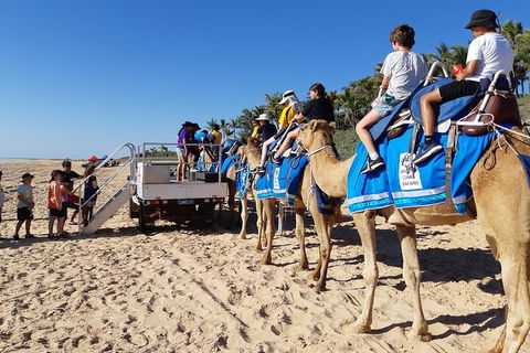 Broome Pre-sunset Camel Tour 30 Minutes - Restaurant Gold Coast 5