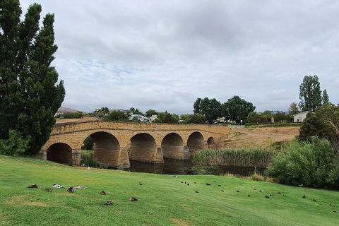 Port Arthur, Richmond And Tasman Peninsula Day Trip From Hobart - Restaurant Gold Coast 3