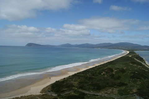 7-Day Best Of Tasmania Adventure Experience From Hobart (flexible Ticket) - Restaurant Gold Coast 2