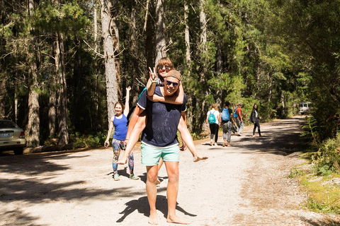 7-Day Best Of Tasmania Adventure Experience From Hobart (flexible Ticket) - Restaurant Gold Coast 5