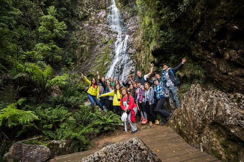 5-Day Lap Of Tasmania Tour From Hobart (flexible Ticket) - Restaurant Gold Coast 0