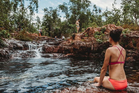 Litchfield National Park Day Tour From Darwin With Waterfalls And Buley Rockhole - Restaurant Gold Coast 0