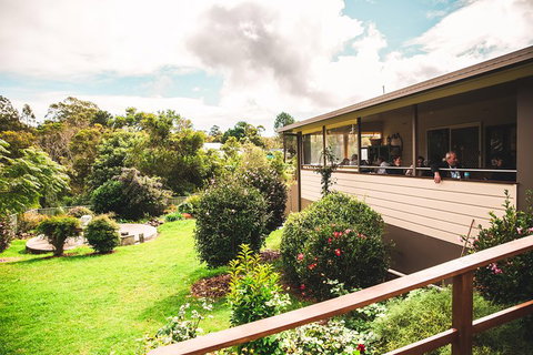 Full-day Springbrook National Park Tour From The Gold Coast - Restaurant Gold Coast 2