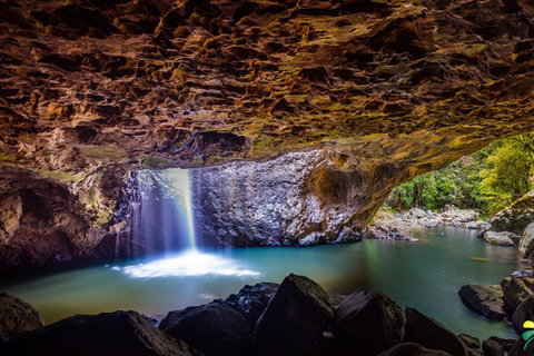 Full-day Springbrook National Park Tour From The Gold Coast - Restaurant Gold Coast 3