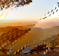 O'Reilly's  Lamington National Park incl. Alpaca Farm  Vineyard - Restaurant Gold Coast