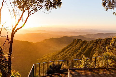 O'Reilly's & Lamington National Park Incl. Alpaca Farm + Vineyard - Restaurant Gold Coast 0