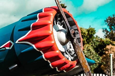 O'Reilly's & Lamington National Park Incl. Alpaca Farm + Vineyard - Restaurant Gold Coast 1