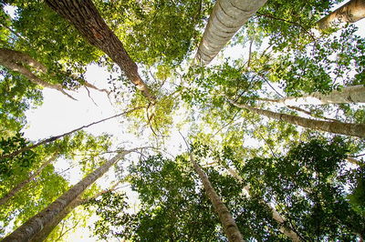 Fraser Island 4WD Tour from Noosa