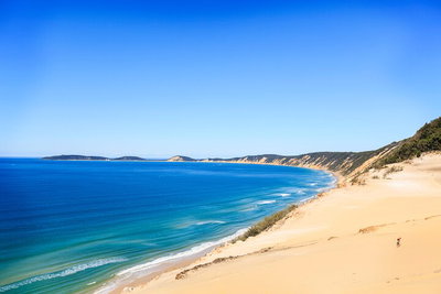 Kayak with Dolphins and 4WD Great Beach Drive Day Trip from Noosa