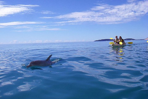 Kayak With Dolphins And 4WD Great Beach Drive Day Trip From Noosa - Restaurant Gold Coast 2